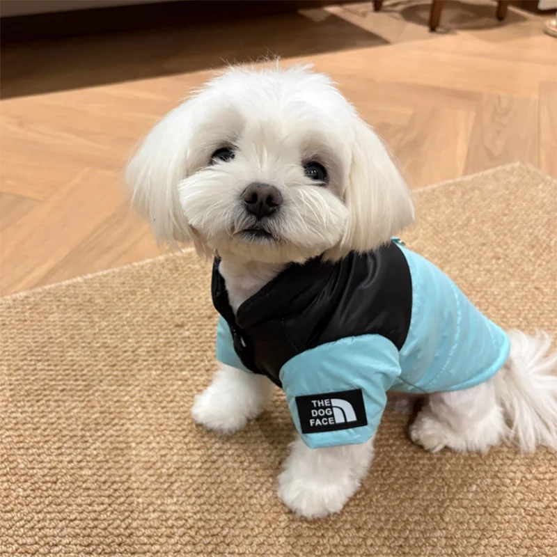 Warm Cotton Dog Coat – Blue Teddy Fleece Winter Jacket