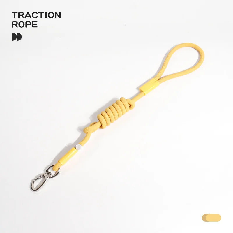 Dog P Chain Leash – Lightweight Slip Rope