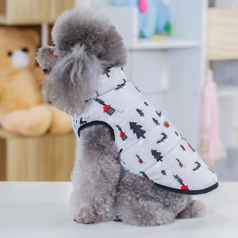 Winter Coat for Small Dogs – Insulated Cotton Jacket for Chihuahua
