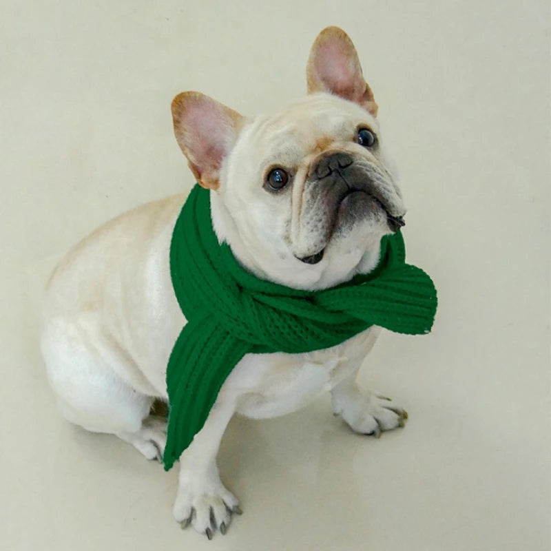 Fashion Pet Knitted Dog Scarf – Holiday Winter Neck Warmer
