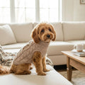 Solid Color Dog Sweater – Cozy Wool Knit for Small Dogs