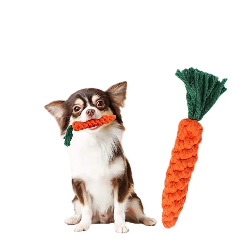 Cartoon Animal Rope Toy – Teeth Cleaning for Dogs