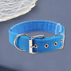 SANWOOD Adjustable Nylon Dog Collar with Traction Ring – Durable Fit All Breeds