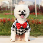 Plaid Dog Vest Coat – Formal Outfit for Small to Medium Dogs