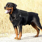 Tactical Dog Harness – Adjustable Training Vest