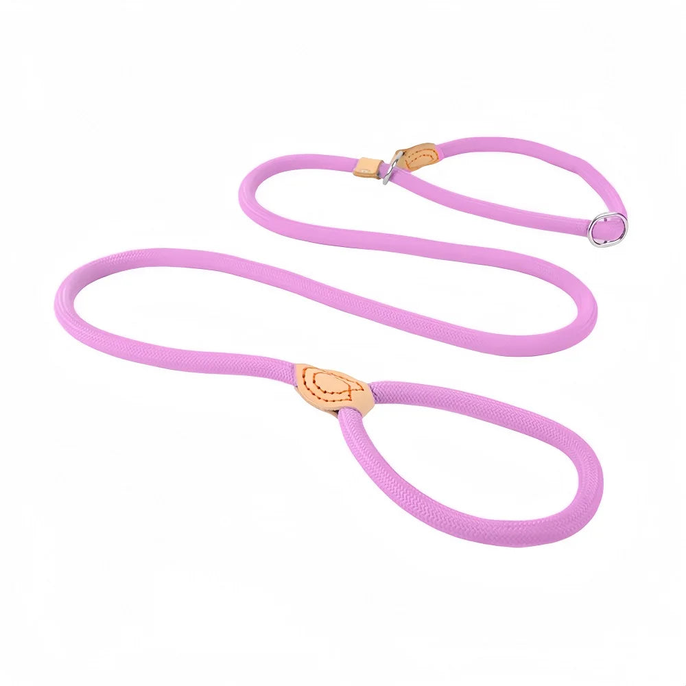 Dog Slip Leash – Braided Rope Control