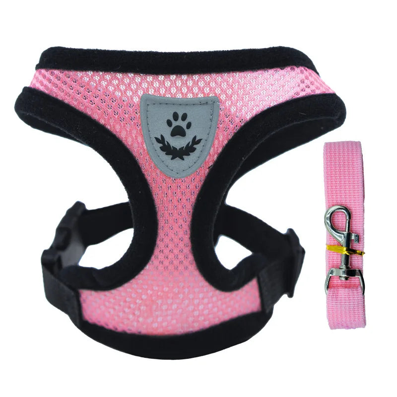 Small Dog Harness & Leash Set – Breathable Mesh Vest