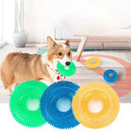 Squeaky Thorn Ring Dog Toy – TPR Rubber Dental Chew for Puppies & Teeth Cleaning