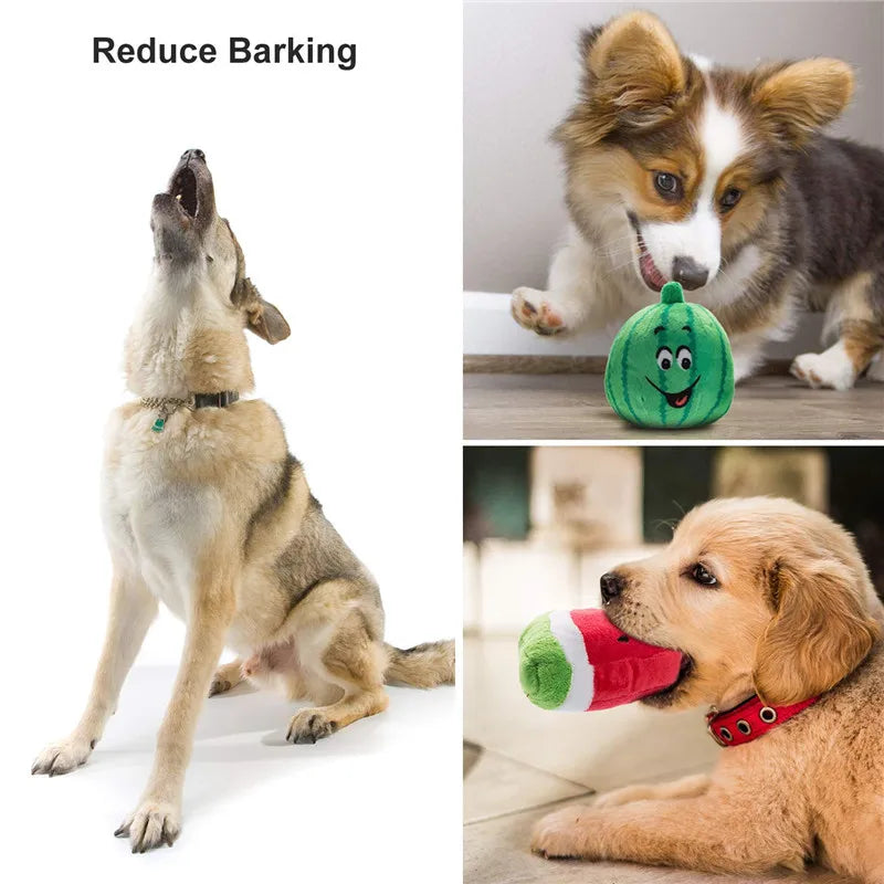 Dog Squeaky Plush Toy Pack – 10/20/50 Pieces