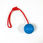 Solid Rubber Ball with Rope – Indestructible Dog Training Toy