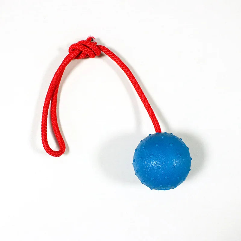 Solid Rubber Ball with Rope – Indestructible Dog Training Toy