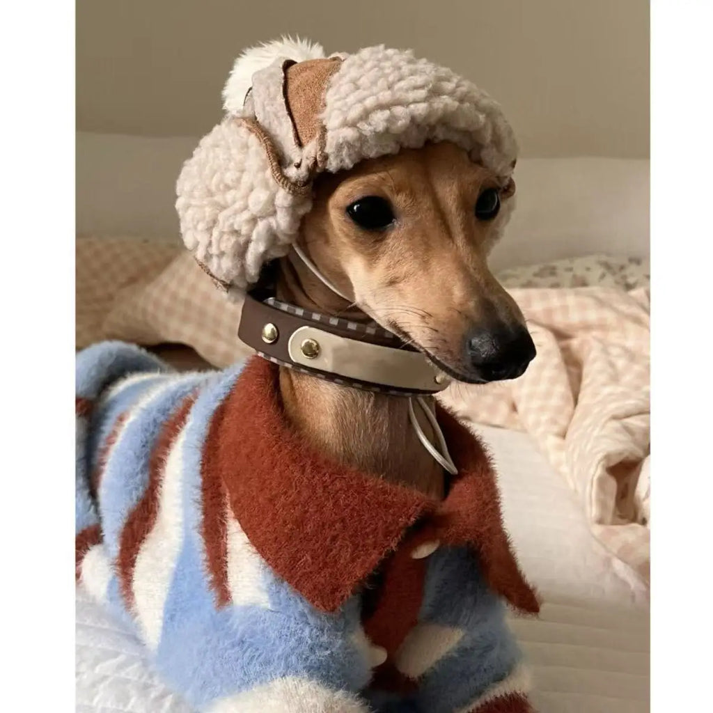 Color Block Striped Dog Sweater – Warm Winter Knit for Small Dogs