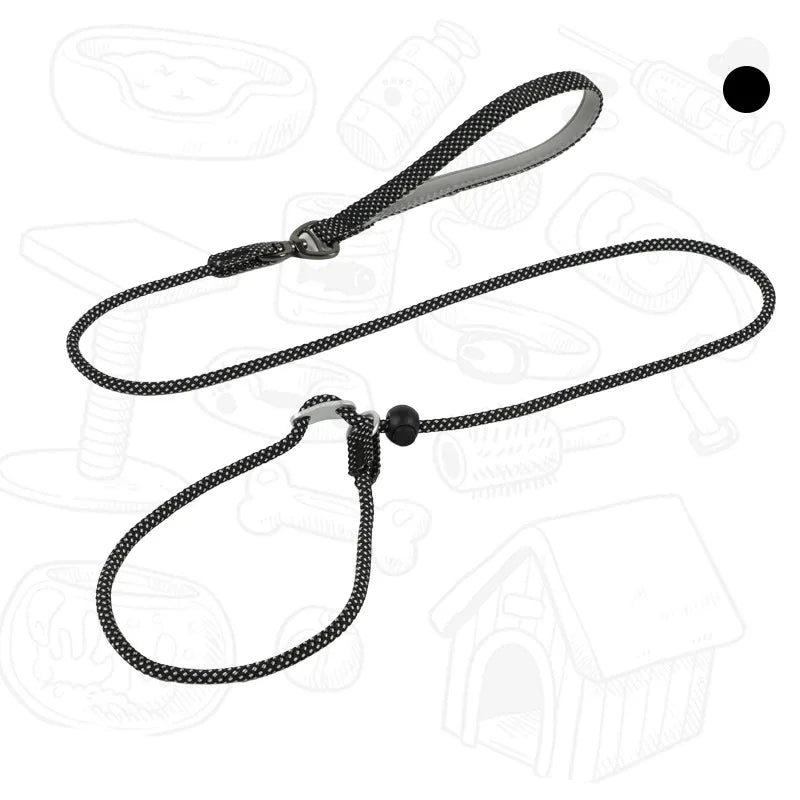 Dog Slip Leash – 2-in-1 Training Control