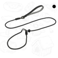 Dog Slip Leash – 2-in-1 Training Control