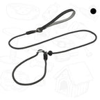 Dog Slip Leash – 2-in-1 Training Control