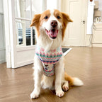 Breathable Dog Vest for Medium Large Dogs – Soft Multicolor Shirt