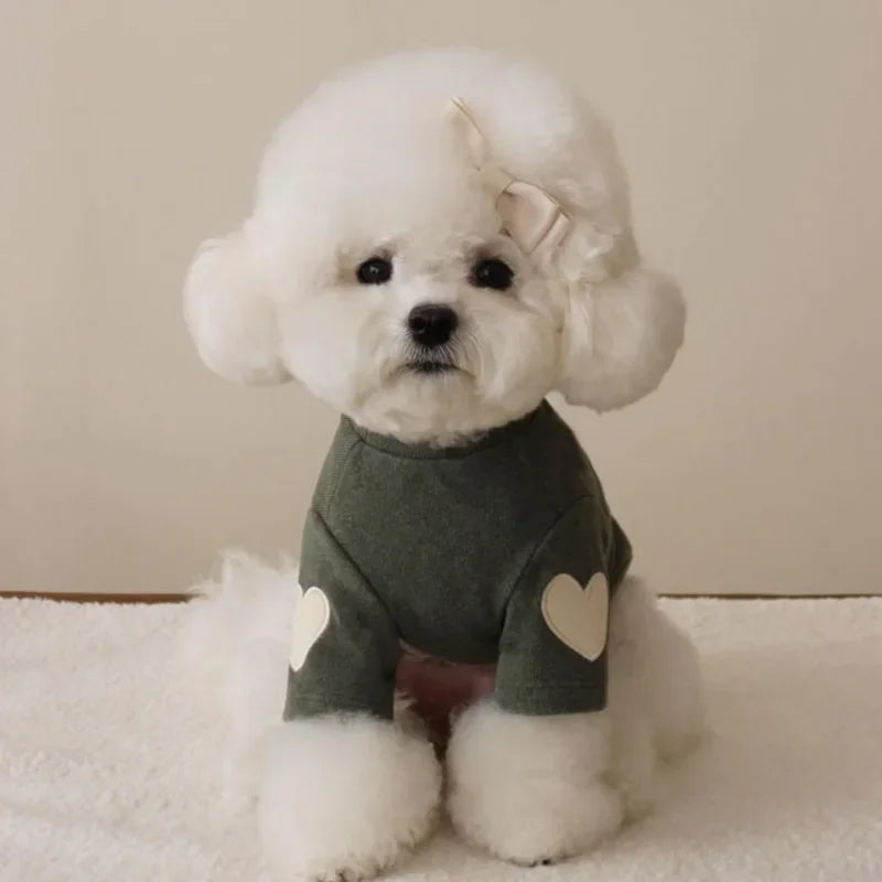 Cute Bear Dog Hoodie – Soft Winter Pet Sweater