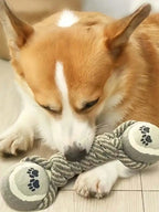 Durable Teeth Cleaning Chew Toy for Dogs
