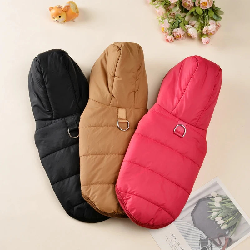 Thick Warm Dog Jacket – Autumn Winter Coat for Small Dogs