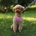Reflective Nylon Dog Harness – Quick Release Small Breed