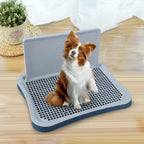 Dog Potty Tray with Wall & Urine Post – Indoor Puppy Training Toilet