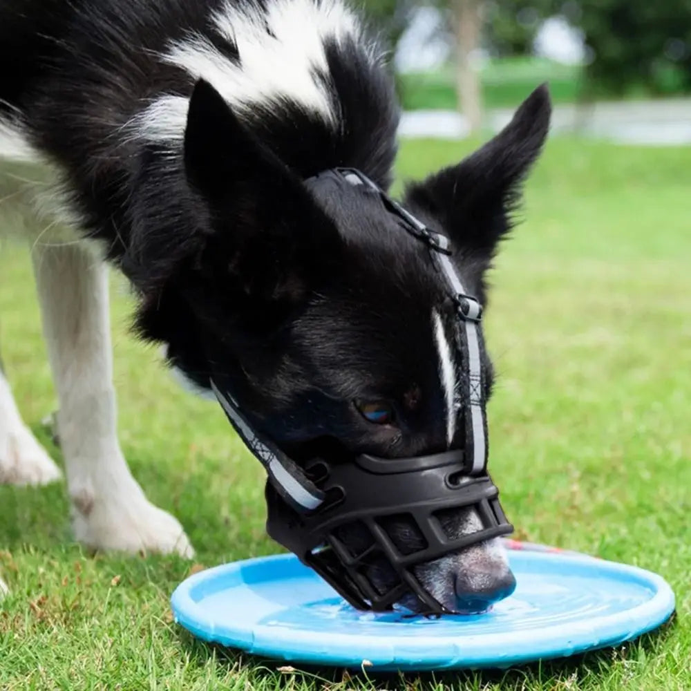Dog Muzzle – Adjustable Anti-Biting Safety Guard