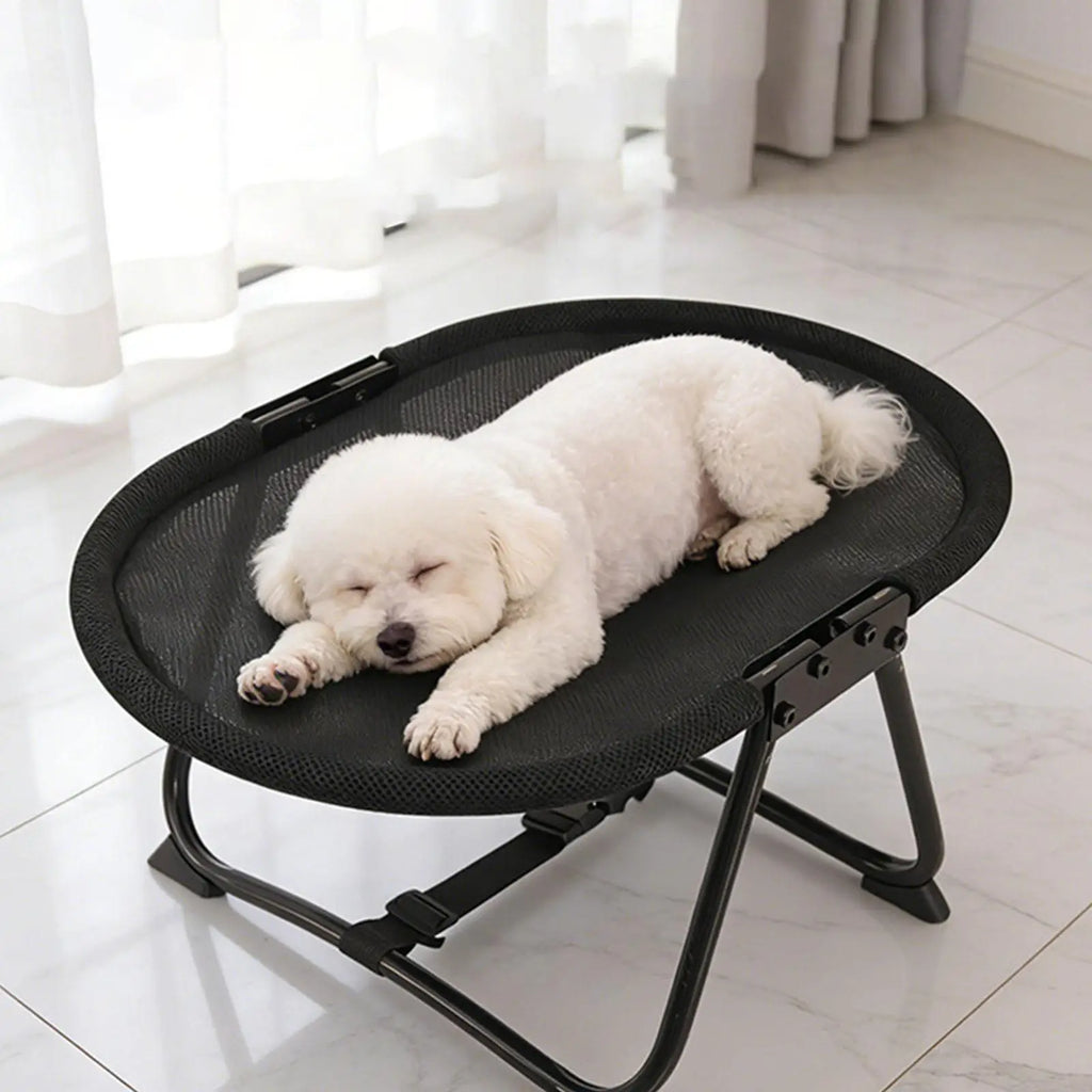 Portable Elevated Dog Bed – Heavy Duty Metal Frame, Foldable with Storage Bag for Indoor Use