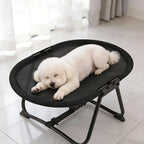Portable Elevated Dog Bed – Heavy Duty Metal Frame, Foldable with Storage Bag for Indoor Use