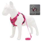 Dog Harness & Leash Set – Padded Adjustable Vest