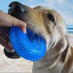 Squeaky Thorn Ring Dog Toy – TPR Rubber Dental Chew for Puppies & Teeth Cleaning