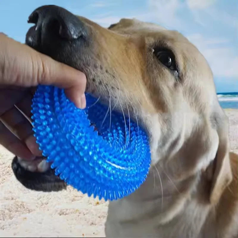 Squeaky Thorn Ring Dog Toy – TPR Rubber Dental Chew for Puppies & Teeth Cleaning