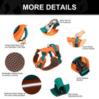 Mesh Dog Harness – Breathable Reflective Training Vest