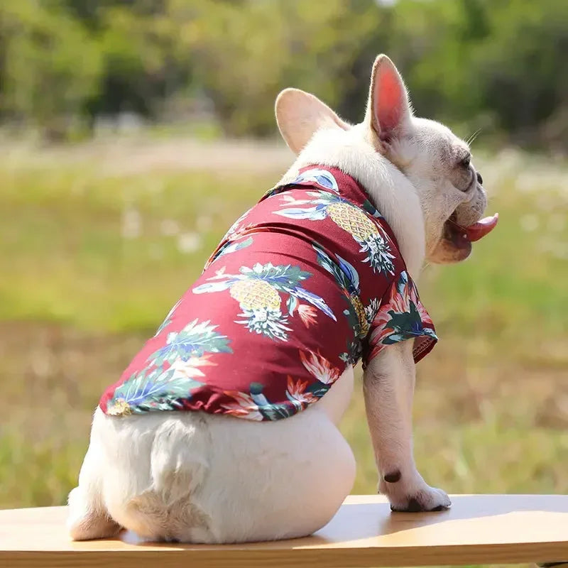 Hawaiian Dog Shirt – Cute Beach Print Summer Outfit