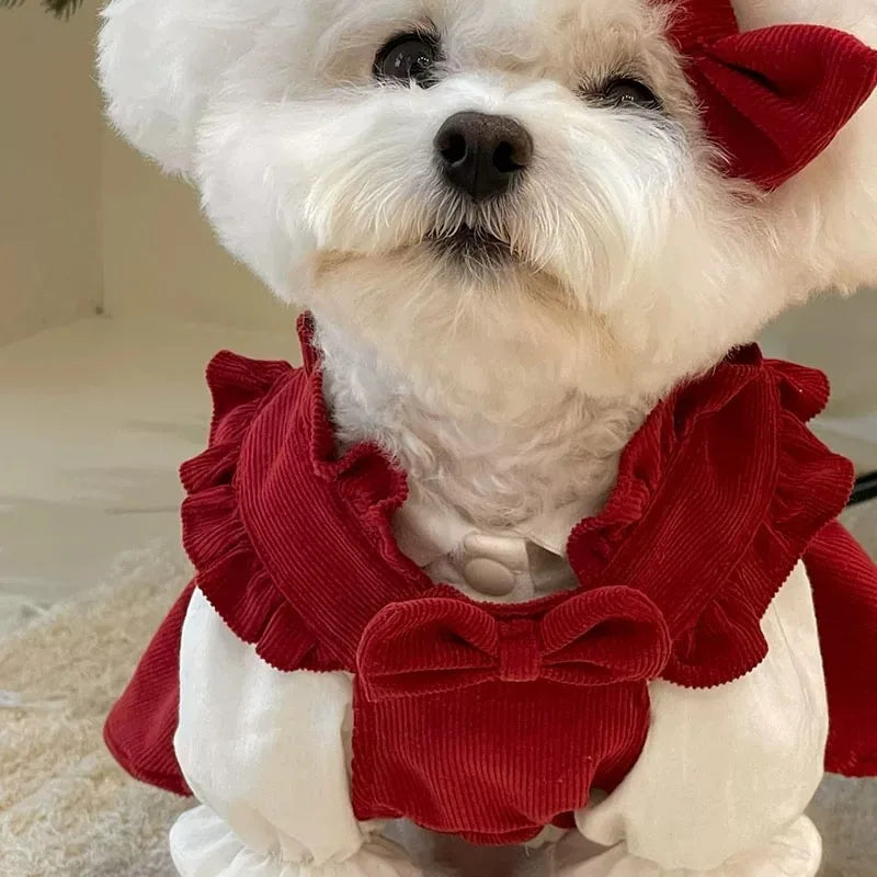 Winter Corduroy Dog Dress Set – Red Bow Outfit XS-XXL
