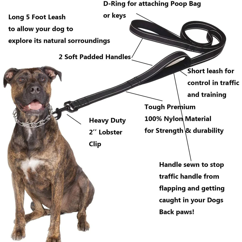 Dog Leash – Dual Handle Reflective Control