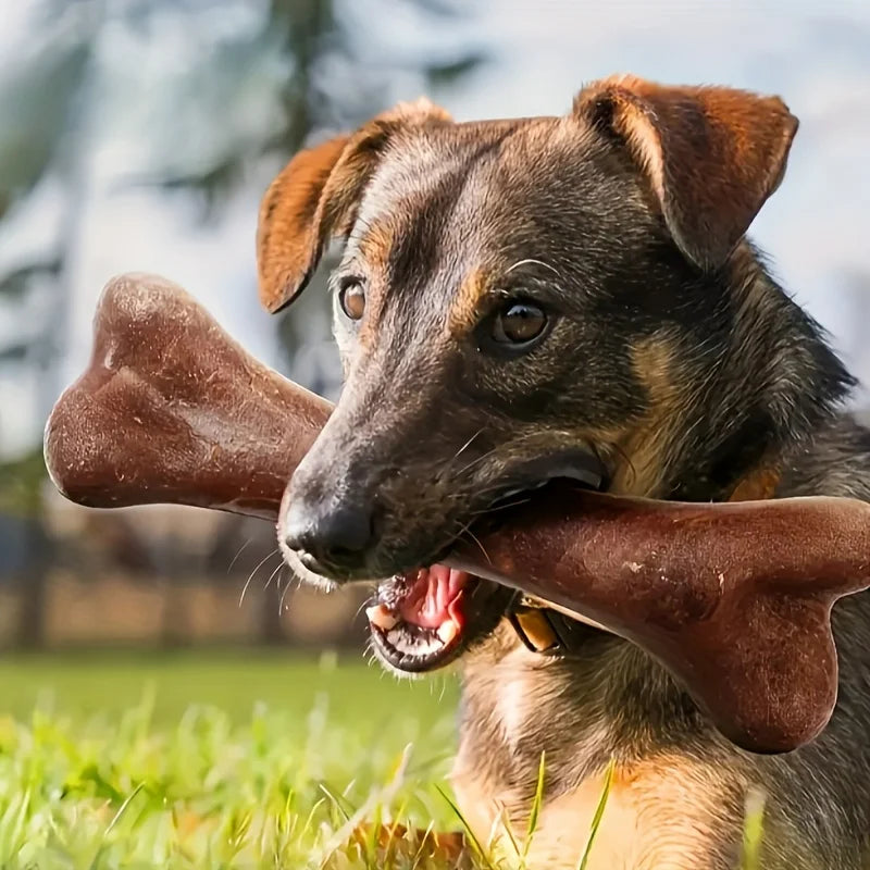 Beef Flavored Bone Chew Toy for Dogs – Teeth Cleaning & Durable Chew