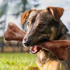Beef Flavored Bone Chew Toy for Dogs – Teeth Cleaning & Durable Chew