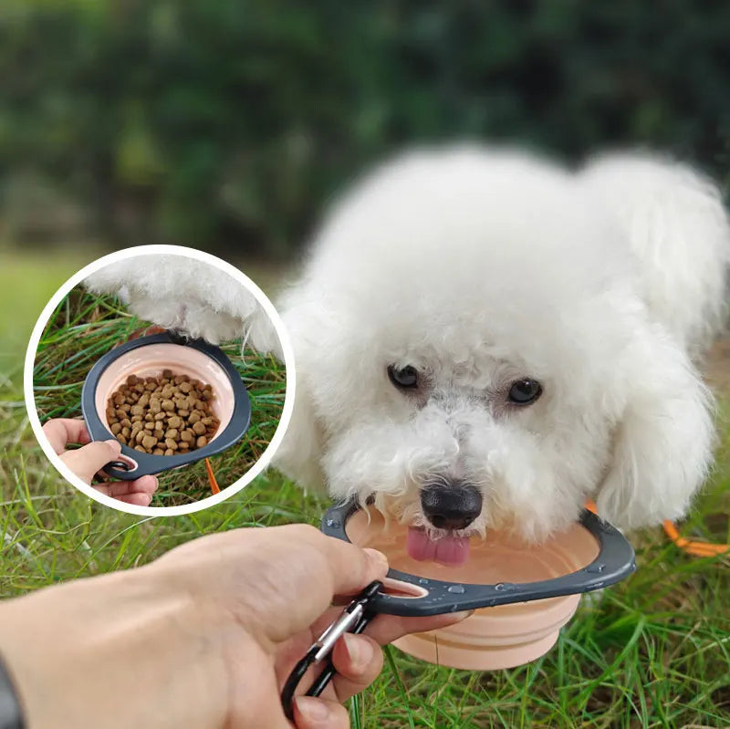 Collapsible Silicone Dog Travel Bowl – Portable Outdoor Feeding Dish