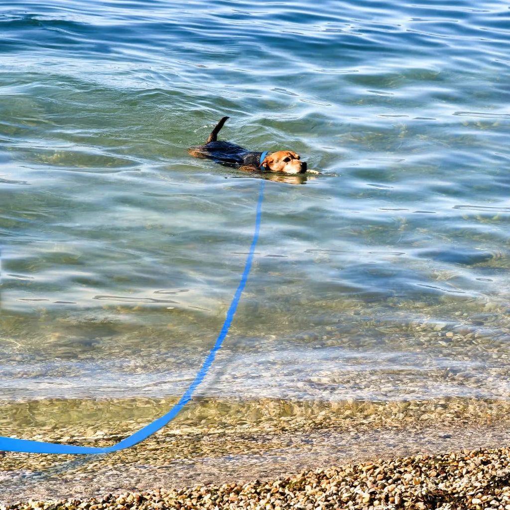 Long Dog Leash – Waterproof PVC Training Lead