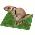 Premium Washable Dog Training Mat – Indoor & Outdoor Potty Pad with Odor Control