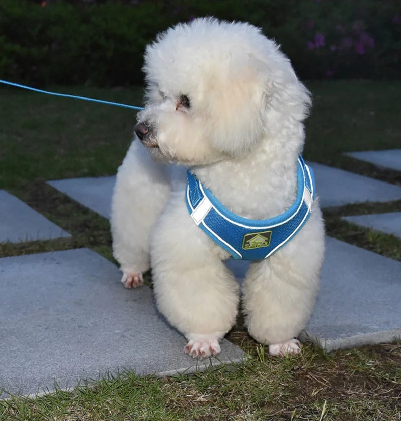 Reflective Dog Harness and Leash Set – No Pull Mesh Vest