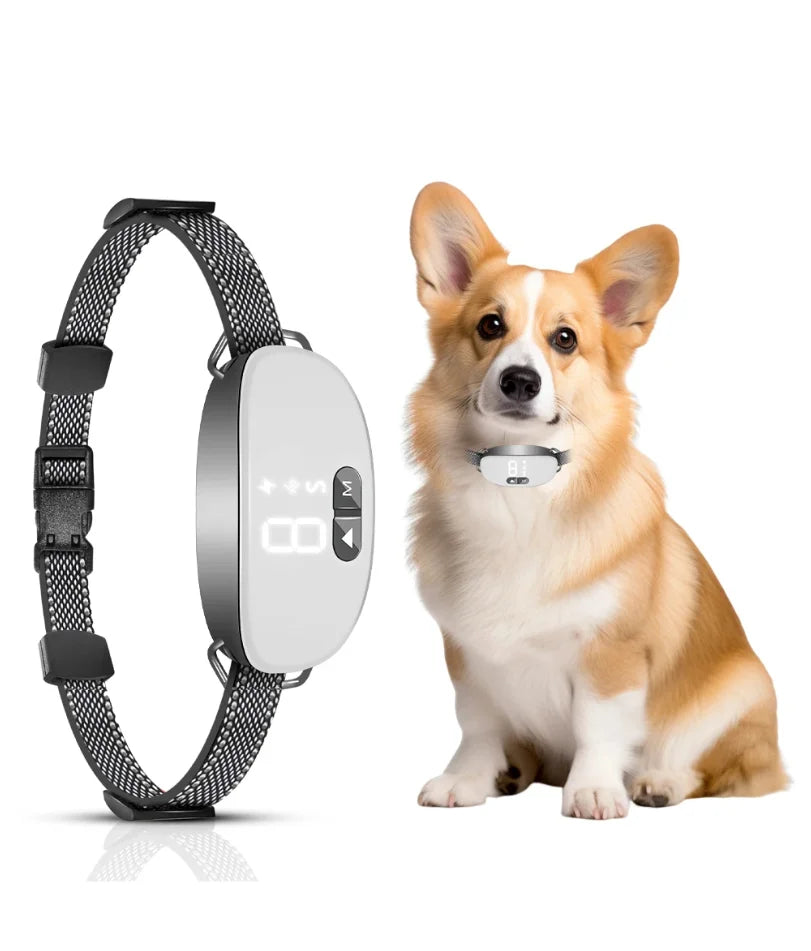 Smart Rechargeable Dog Bark Collar – Adjustable Sensitivity Control