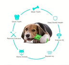 Dog Tooth Chewing Toy – Dental Care TPR Chew