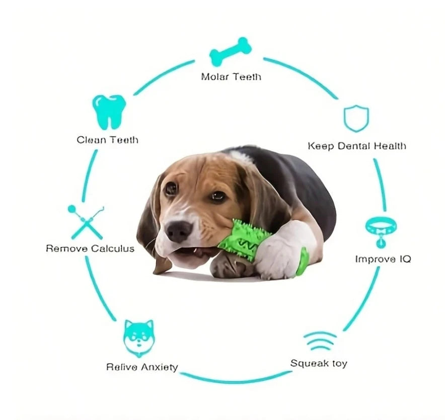 Dog Tooth Chewing Toy – Dental Care TPR Chew