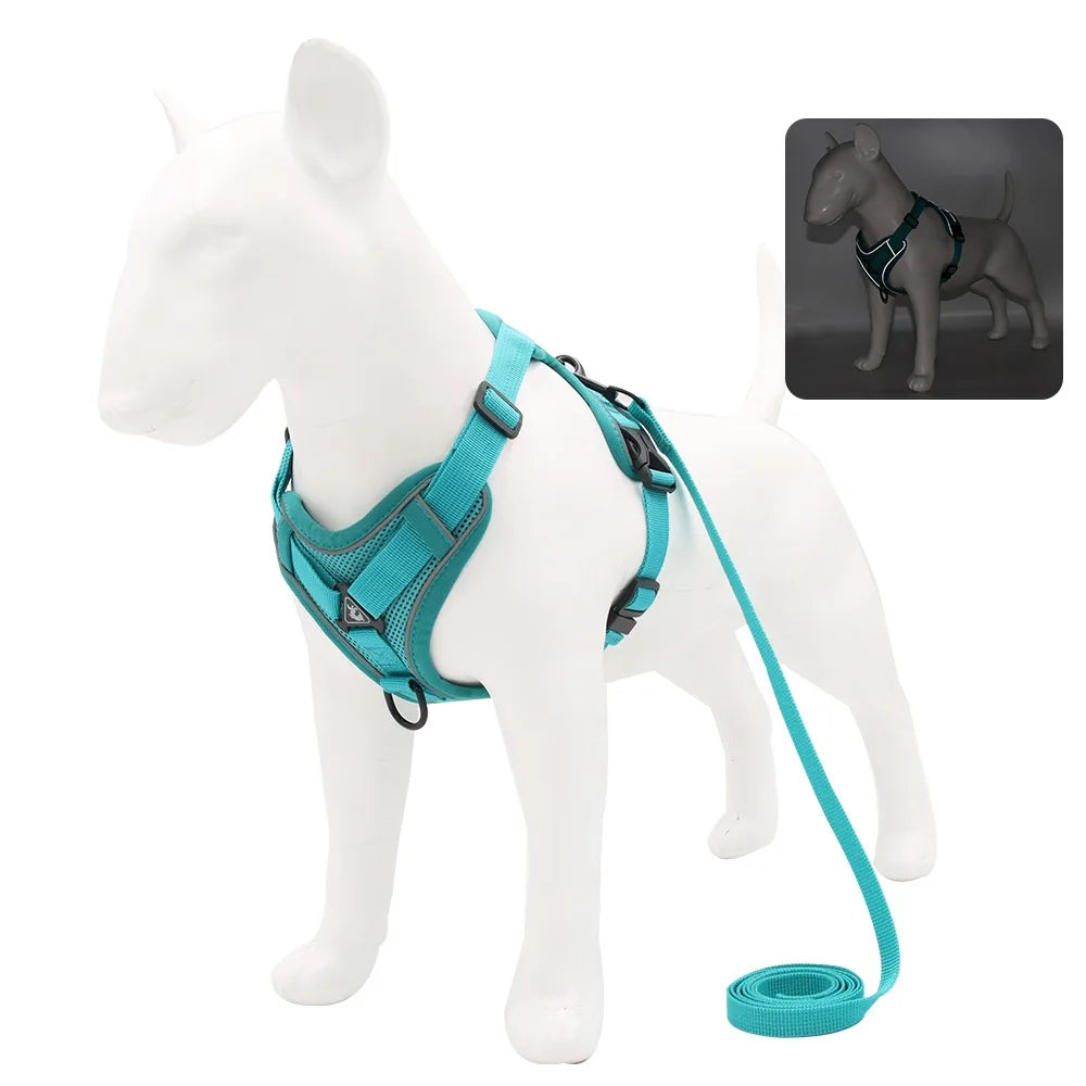 Dog Harness & Leash Set – Padded Adjustable Vest