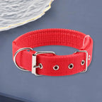 SANWOOD Adjustable Nylon Dog Collar with Traction Ring – Durable Fit All Breeds