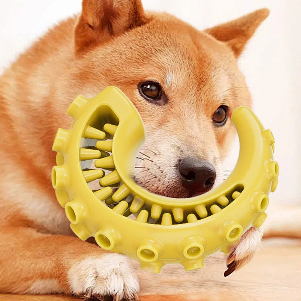 TPR Teeth Cleaning Dog Chew Toy for Small & Medium