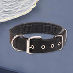 SANWOOD Adjustable Nylon Dog Collar with Traction Ring – Durable Fit All Breeds