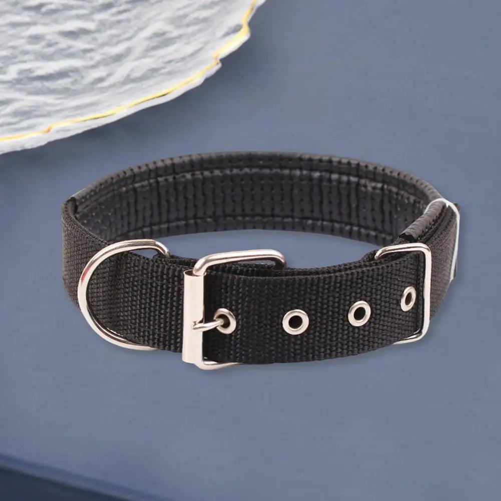 SANWOOD Adjustable Nylon Dog Collar with Traction Ring – Durable Fit All Breeds