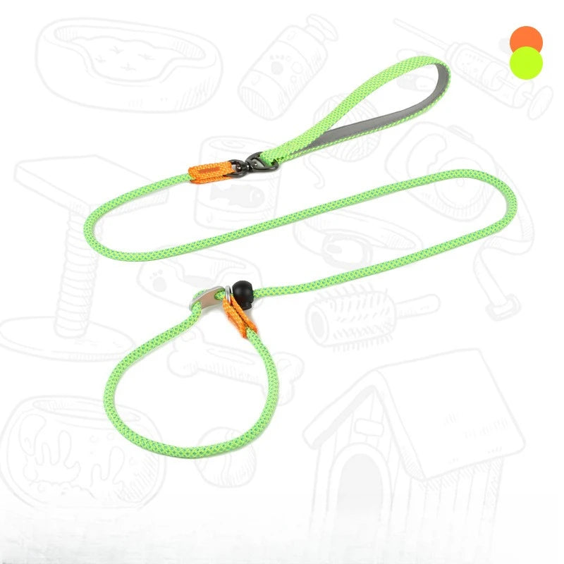 Dog Slip Leash – 2-in-1 Training Control